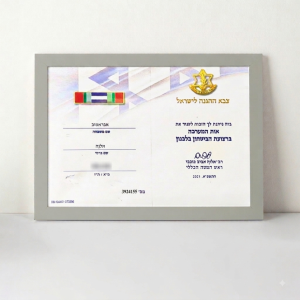 Military Service Campaign Ribbon